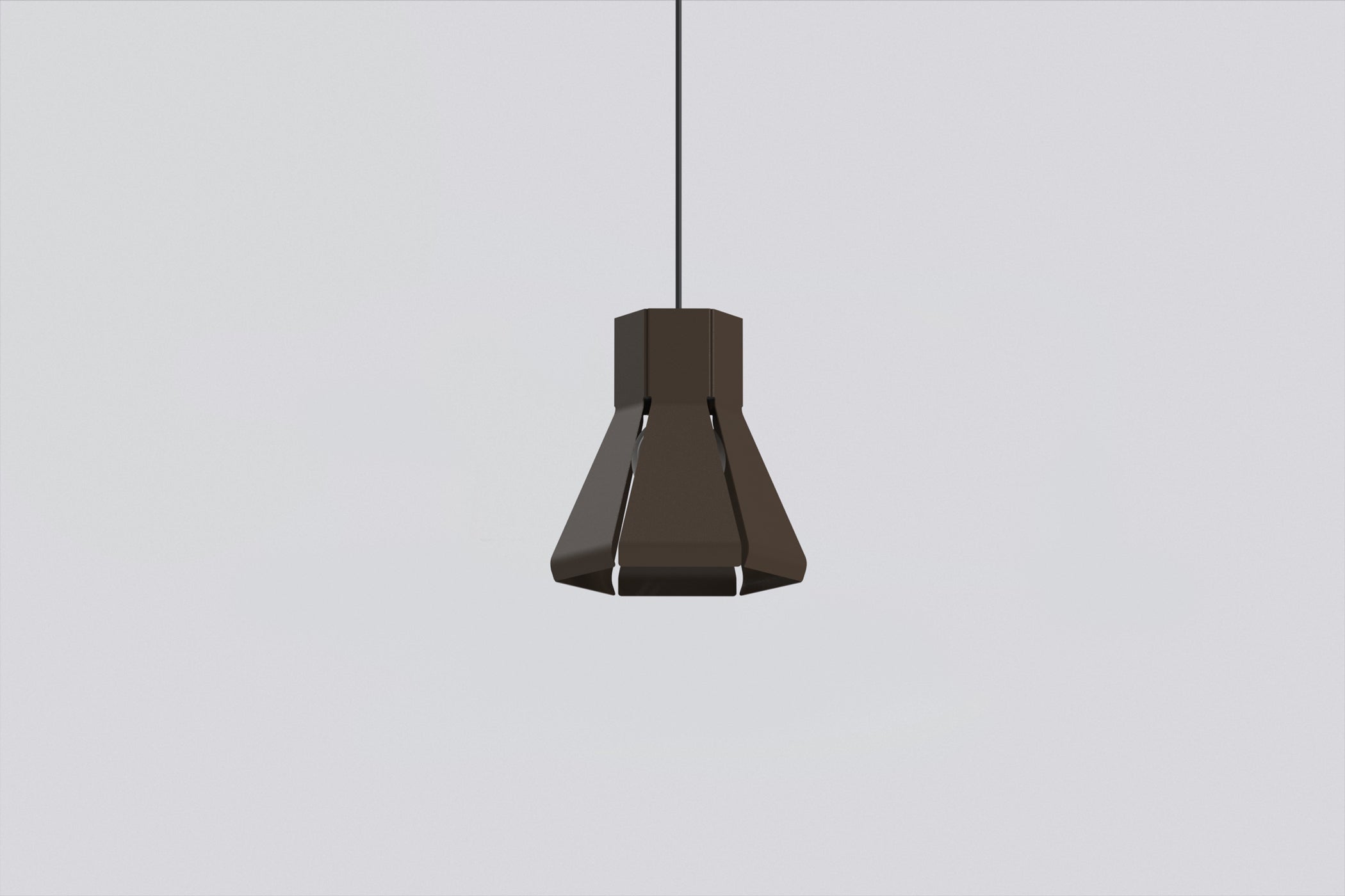 Hector Light-1